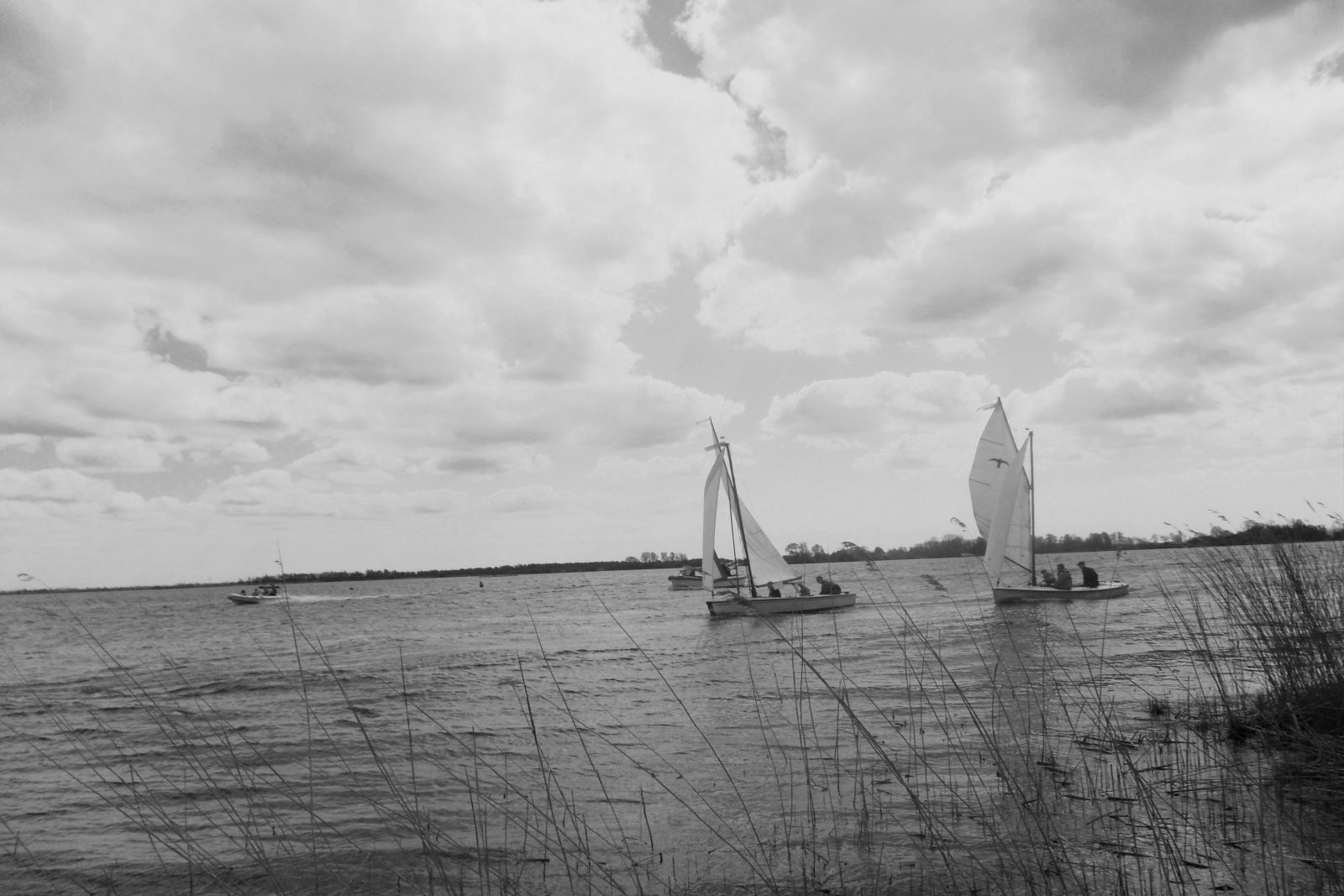 Farm Camping Hettinga